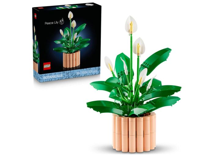 Peace Lily