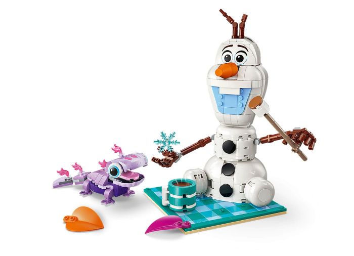 Olaf and Bruni’s Picnic Fun