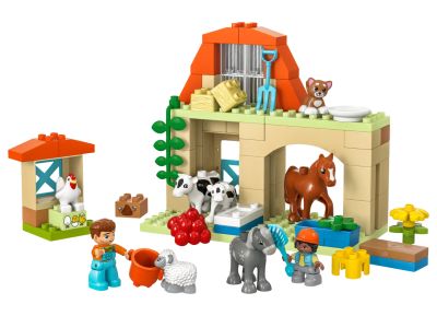 Caring for animals at the farm