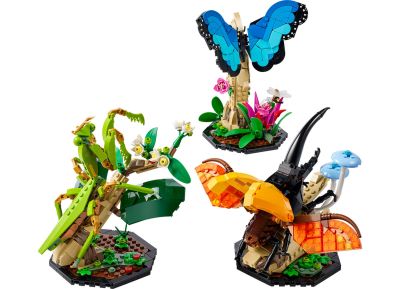 The Insect Collection