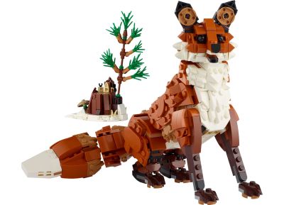 Forest Animals: Red Fox