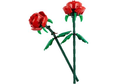 Roses