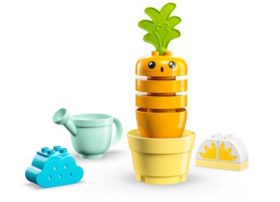 Growing Carrot