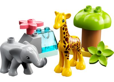 Wild Animals of Africa