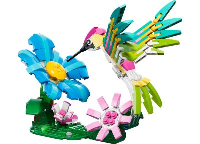 Wild Animals: Colorful Hummingbird