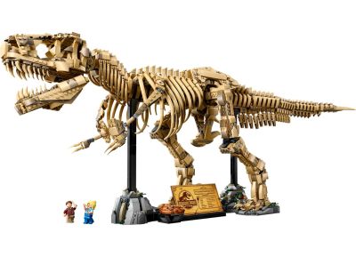 Dinosaur Fossils: Tyrannosaurus rex